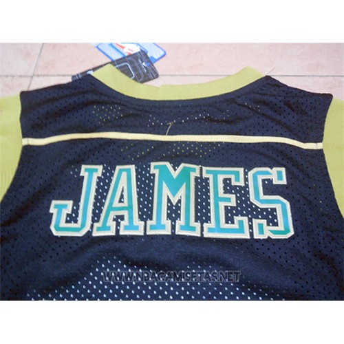 Camiseta St. Vincent-St. Mary LeBron James NO 23 Azul